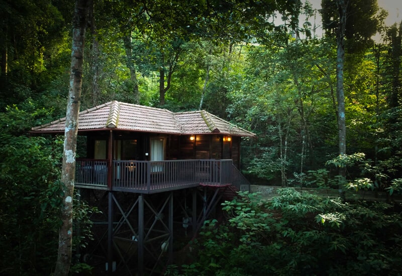 Jungle Log House Resorts In Nilgiris Luxury Resorts In Ooty 