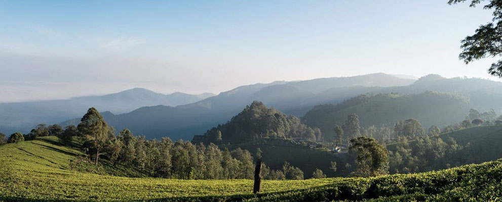 Nilgiris Hills