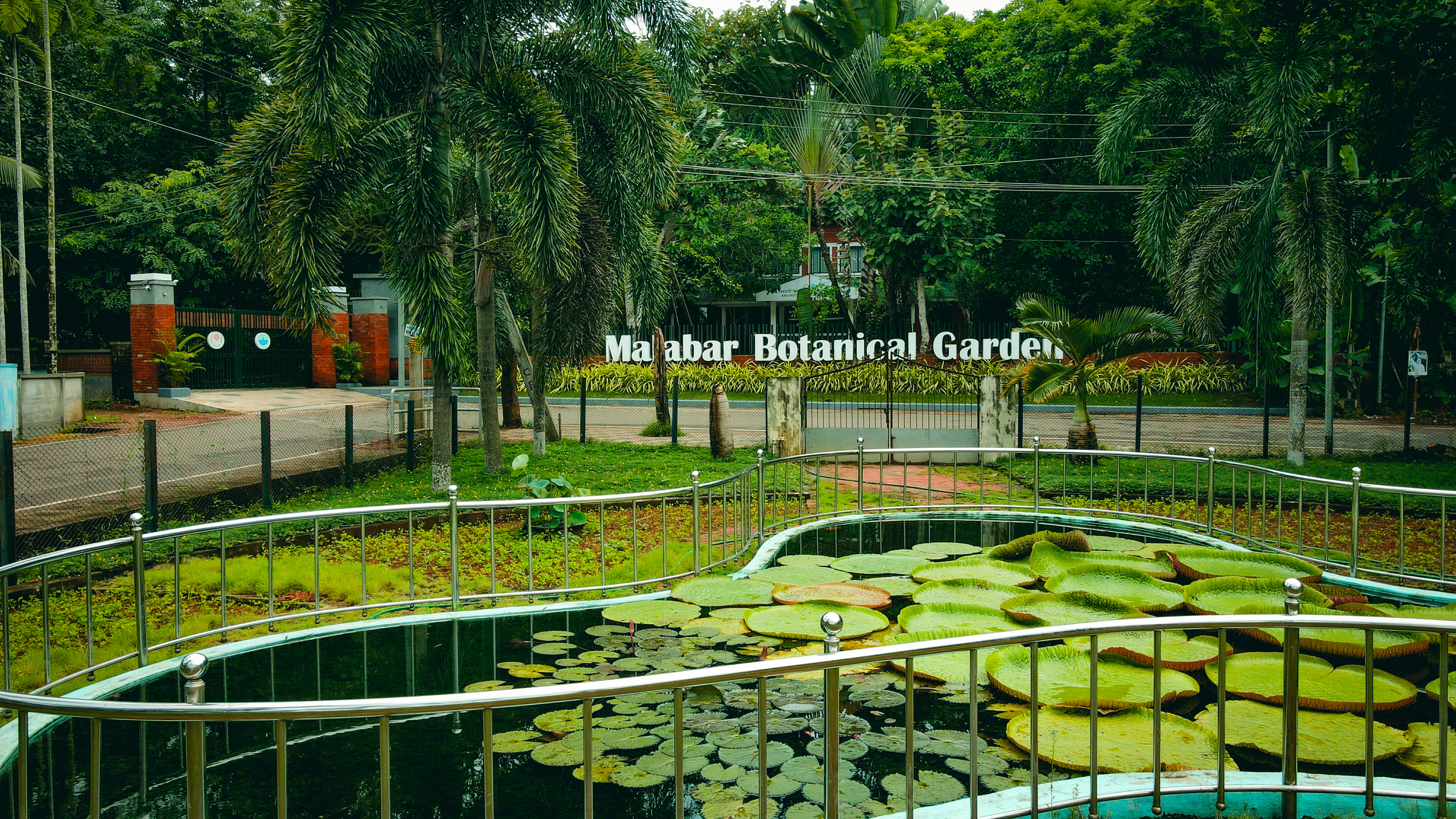 Ooty Botanical Gardens