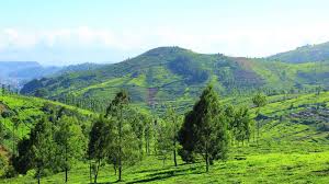 Kotagiri